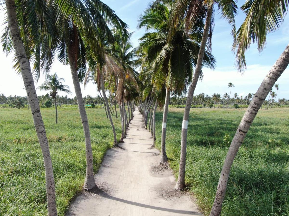 Jeym Lodge Thoddoo Buitenkant foto